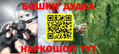 сатива Аргун