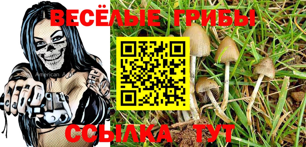 Галлюциногенные грибы Psilocybine cubensis Лабытнанги