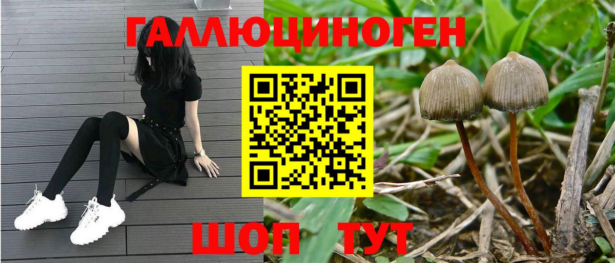 Псилоцибиновые грибы Psilocybine cubensis  Галлюциногенные грибы прущие грибы  Лабытнанги  Вход с VPN 