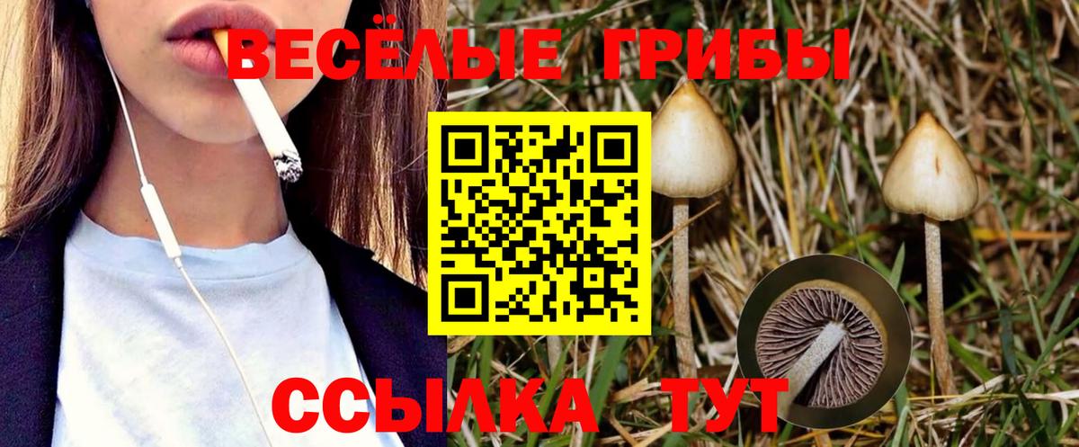 Псилоцибиновые грибы MAGIC MUSHROOMS  Лабытнанги  где можно купить наркотик  Галлюциногенные грибы Cubensis 